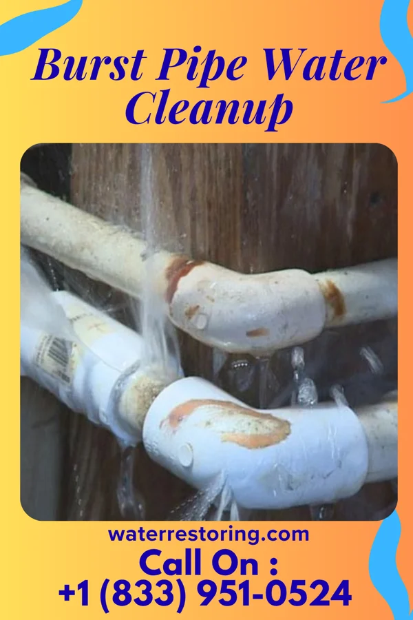 Burst Pipe Water Cleanup in Bruceton, TN