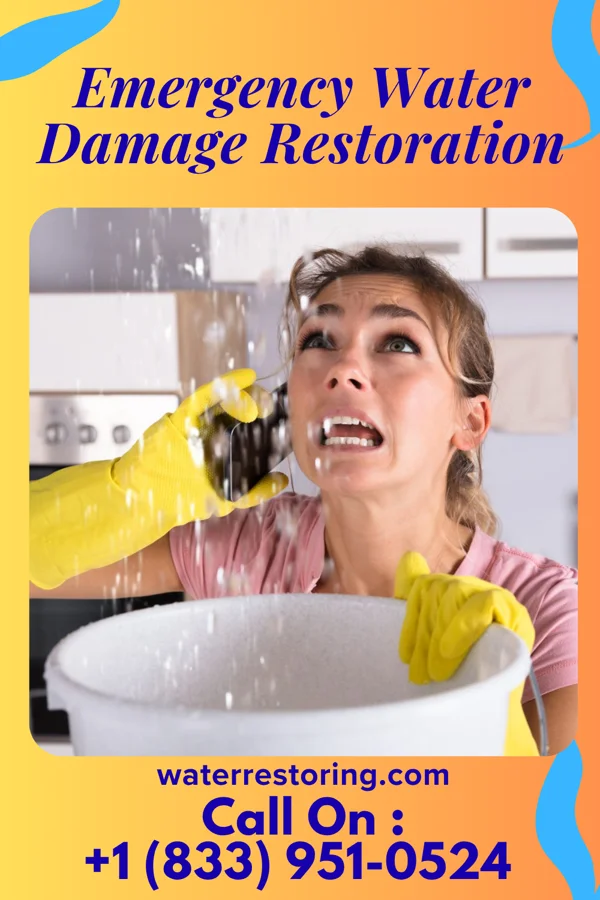 Emergency Water Damage Restoration in Bruceton, TN