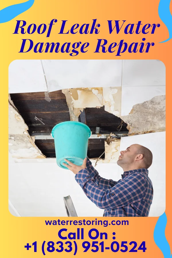 Roof Leak Water Damage Repair in Bruceton, TN