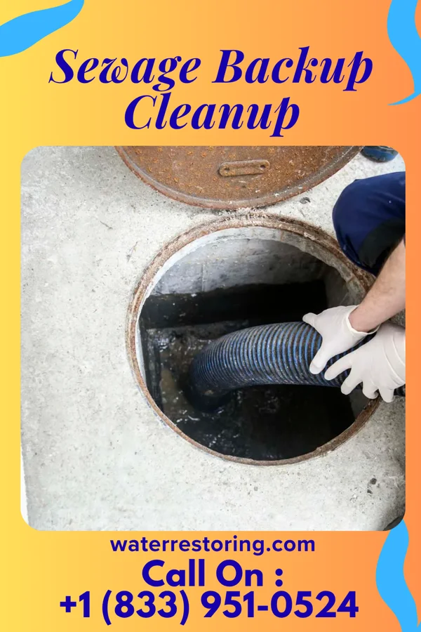 Sewage Backup Cleanup in Bruceton, TN