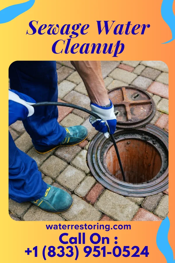 Sewage Water Cleanup in Bruceton, TN